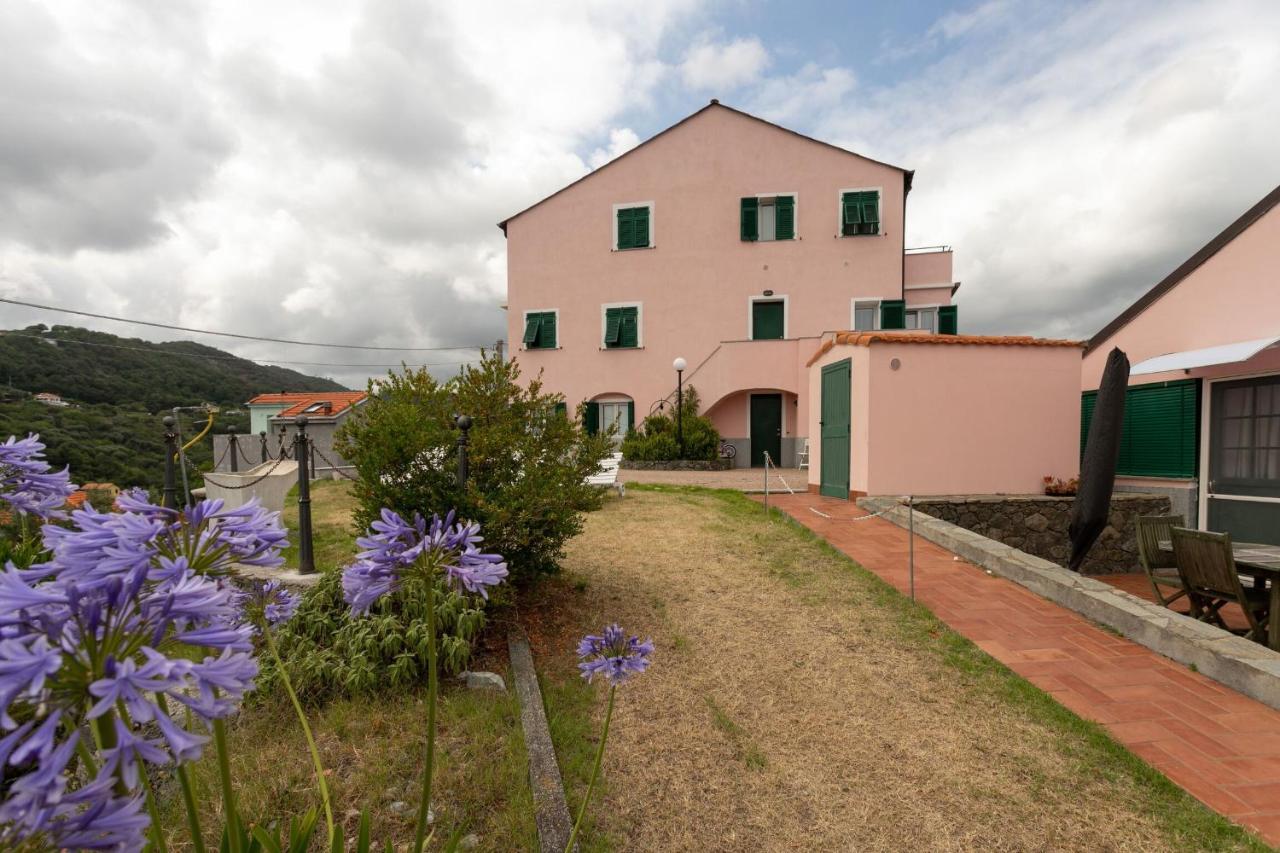 Villa Zafferano Suites 塞勒里古 外观 照片